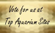 Top Aquarium Sites